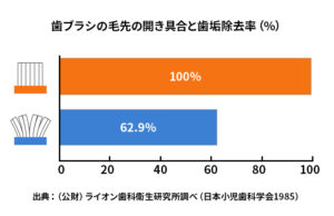 ハブラシの交換時期