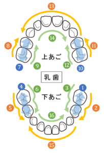 自分磨きのポイント