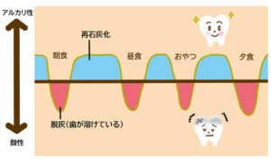 規則正しい食事をした際の脱灰と再石灰化が行われるサイクル